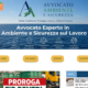 Anteprima del sito Avvocato Valentino Sassano