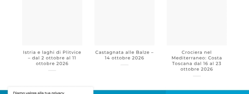 Anteprima del sito Dani Viaggi