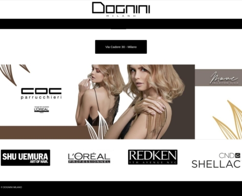 Anteprima del sito Dognini Milano