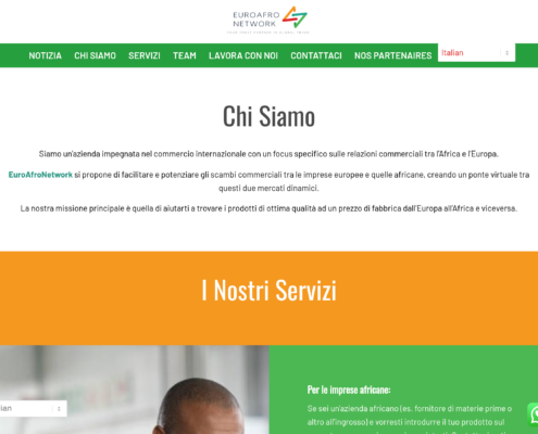 Anteprima del sito Euro Afro Network